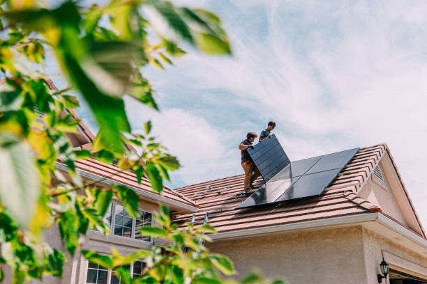 Best Roof Gutter Cleaning  in Rock Port, MO